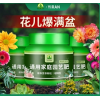 花肥家用通用型复合肥料盆栽植物种花有机肥化肥养花氮磷钾缓释肥